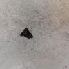 Bouton de warning FORD KA+ Essence image 3