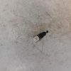 Contacteur feu stop RENAULT CLIO 3 PHASE 1 Essence image 3