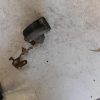 Avertisseur/Klaxon PEUGEOT 307 PHASE 1 Essence image 2