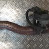 Boitier papillon RENAULT CLIO 4 PHASE 2 Diesel image 3