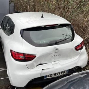 Cremaillere assistee RENAULT CLIO 4 PHASE 2 Diesel image 1