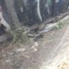 Capot CITROEN C3 1 PHASE 1 Essence image 3