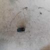 Bouton/Interrupteur PEUGEOT 3008 1 PHASE 1 Diesel image 1