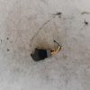 Interrupteur de leve vitre RENAULT CLIO 2 PHASE 1 Essence image 2