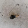 Interrupteur de leve vitre RENAULT CLIO 2 PHASE 1 Essence image 3