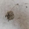 Serrure de capot RENAULT CLIO 2 PHASE 1 Essence image 1