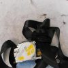 Ceinture avant droit CITROEN C3 2 PHASE 1 Diesel image 1