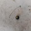 Bouton de demarrage RENAULT CAPTUR 1 PHASE 1 Essence image 1