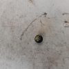 Bouton de demarrage RENAULT CAPTUR 1 PHASE 1 Essence image 2