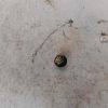 Bouton de demarrage RENAULT CAPTUR 1 PHASE 1 Essence image 3