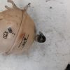 Vase d'expansion SEAT LEON 2 PHASE 2 Diesel image 1