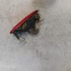 Feu arriere stop central PEUGEOT 206 PHASE 2 Essence image 3