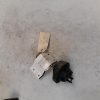 Bouchon de carburant PEUGEOT 207 PHASE 2 Diesel image 3