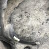Pare boue avant gauche FORD FIESTA 5 PHASE 2 Diesel image 2