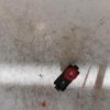 Bouton de warning RENAULT GRAND MODUS PHASE 2 Diesel image 2