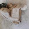 Vase de lave glace CITROEN C3 2 PHASE 1 Diesel image 2