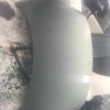 Capot PEUGEOT 307 PHASE 2 Diesel image 1