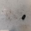 Interrupteur de leve vitre DACIA SANDERO 1 Essence/GPL image 3