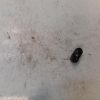 Interrupteur de leve vitre DACIA SANDERO 1 Essence/GPL image 2