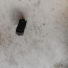 Bouton de warning DACIA SANDERO 2 PHASE 1 Essence image 2