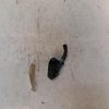 Bouton/Interrupteur PEUGEOT 308 2 PHASE 2 Essence image 1