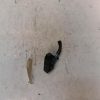 Bouton/Interrupteur PEUGEOT 308 2 PHASE 2 Essence image 2