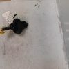 Bouchon de carburant VOLKSWAGEN POLO Essence/GPL image 1