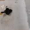 Bouchon de carburant VOLKSWAGEN POLO Essence/GPL image 3