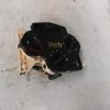 Commande chauffage DACIA LOGAN MCV 1 PHASE 1 BREAK Essence image 1