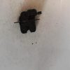 Serrure de capot RENAULT MEGANE 3 PHASE 1 Diesel image 2