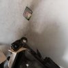 Bouton de warning TOYOTA YARIS 2 PHASE 1 Diesel image 3