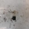 Interrupteur de leve vitre avant gauche BMW SERIE 3 E90 PHASE 1 Diesel image 1