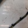 Divers HONDA HR-V 2 PHASE 1 Diesel image 3