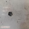 Commande regulateur vitesse RENAULT CLIO 4 PHASE 1 Diesel image 2