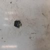 Commande regulateur vitesse RENAULT CLIO 4 PHASE 1 Diesel image 3