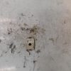 Capteur BMW SERIE 3 E90 PHASE 1 Diesel image 1
