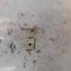 Capteur BMW SERIE 3 E90 PHASE 1 Diesel image 2