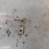 Capteur BMW SERIE 3 E90 PHASE 1 Diesel image 3