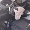 Pare boue arriere droit PEUGEOT PARTNER 3 Diesel image 8