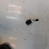 Commande de reglage hauteur de phare PEUGEOT PARTNER 3 Diesel image 1