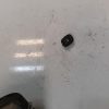 Interrupteur de leve vitre avant gauche FIAT PANDA CROSS 3 Essence image 1