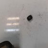 Interrupteur de leve vitre avant gauche FIAT PANDA CROSS 3 Essence image 2
