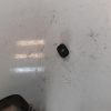 Interrupteur de leve vitre avant droit FIAT PANDA CROSS 3 Essence image 2