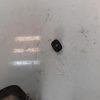 Interrupteur de leve vitre avant droit FIAT PANDA CROSS 3 Essence image 3