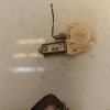 Moteur leve vitre avant droit PEUGEOT 307 PHASE 2 Diesel image 1