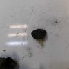 Avertisseur/Klaxon DACIA DUSTER 1 PHASE 1 image 1