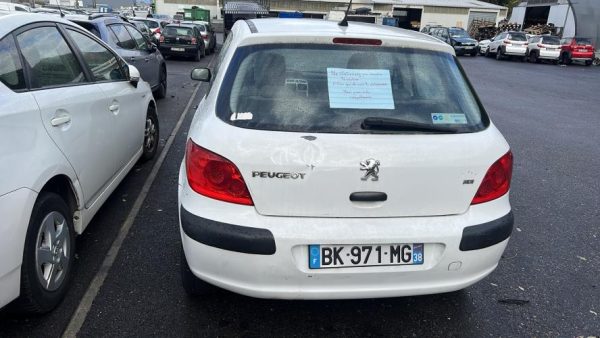 Porte avant gauche PEUGEOT 307 PHASE 2 Diesel image 6