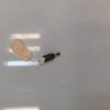 Contacteur feu stop RENAULT KANGOO 2 PHASE 2 Diesel image 3
