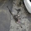 Cremaillere assistee CITROEN C3 2 PHASE 1 Diesel image 1