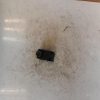 Commande retroviseurs NISSAN QASHQAI 1 PHASE 1 Diesel image 1